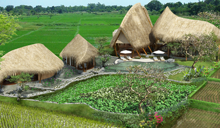 Bali Architect Design